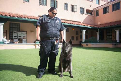 Father Joe's Villages Security with K9