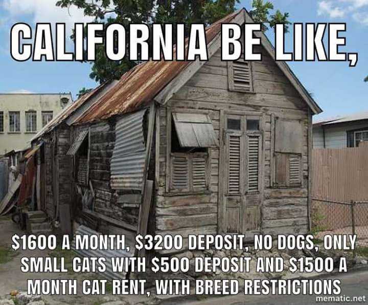 Landlord Partnerships: "California be like, $1600 a month, $3200 deposit, no dogs, only small cats with $500 deposit and $1500 cat rent, with breed restrictions." Picture of a house in shambles.