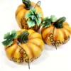 Thanksgiving Resin Pumpkins, Set of 3 - Image 4