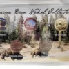 American Bison Nickel Collection - Image 2