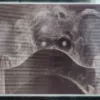 Be Afraid! (Book, PB) - Image 3