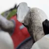 LENOX Follow the Leader Penguin Statue - Image 3