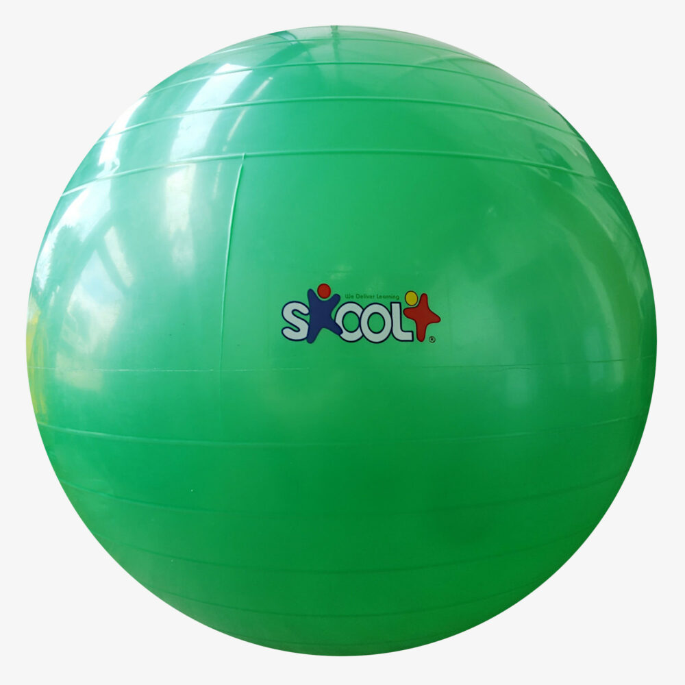 Exercise ball