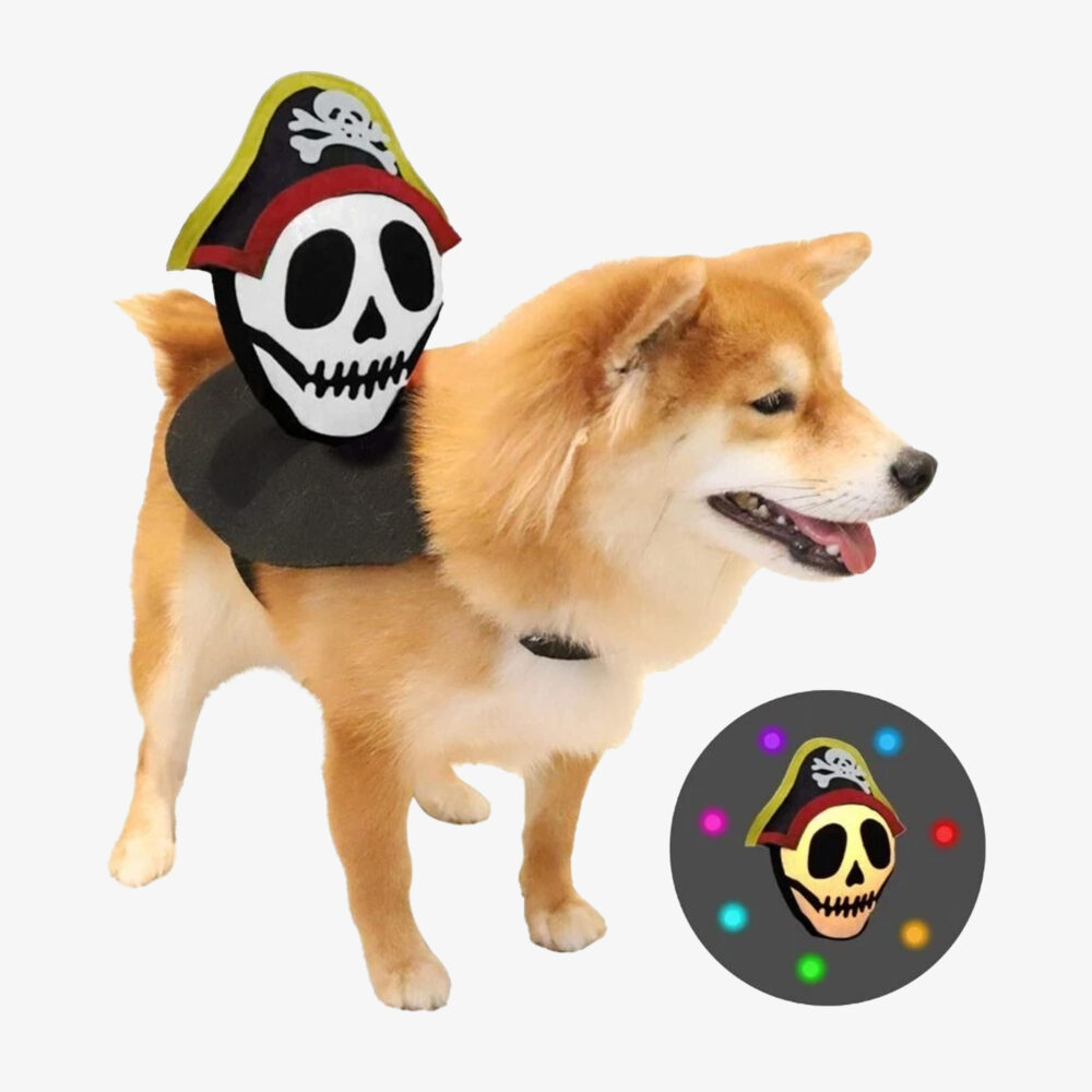 Inflatable Pirate Costume for Dogs