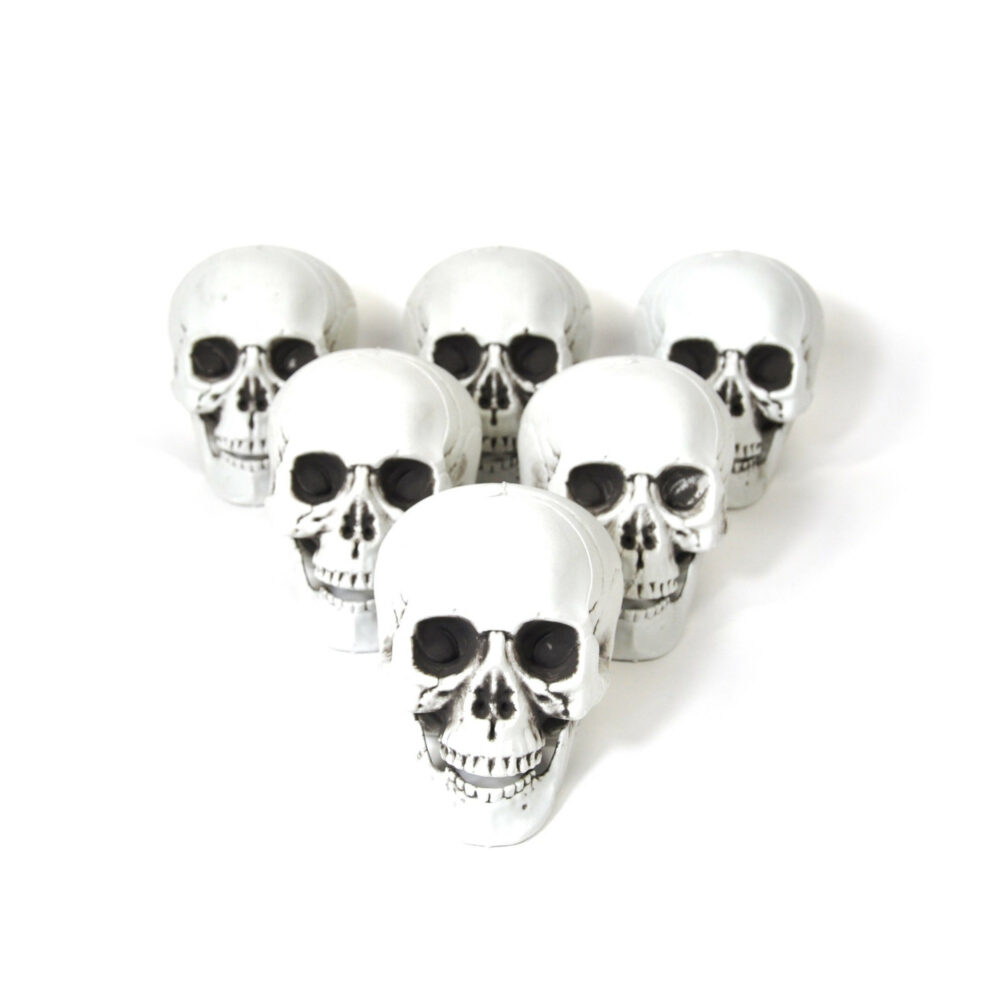 Halloween Skulls