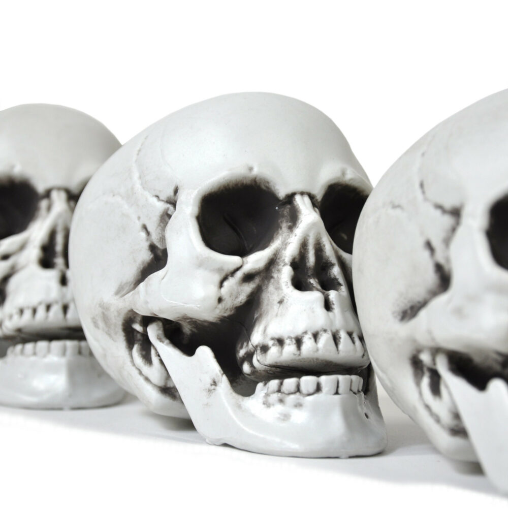 Halloween Skulls