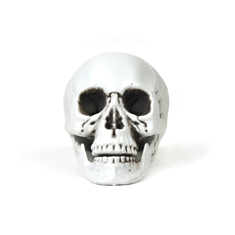 Halloween Skull