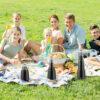 Fly Repellent Fans