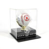 Red Sox Baseball