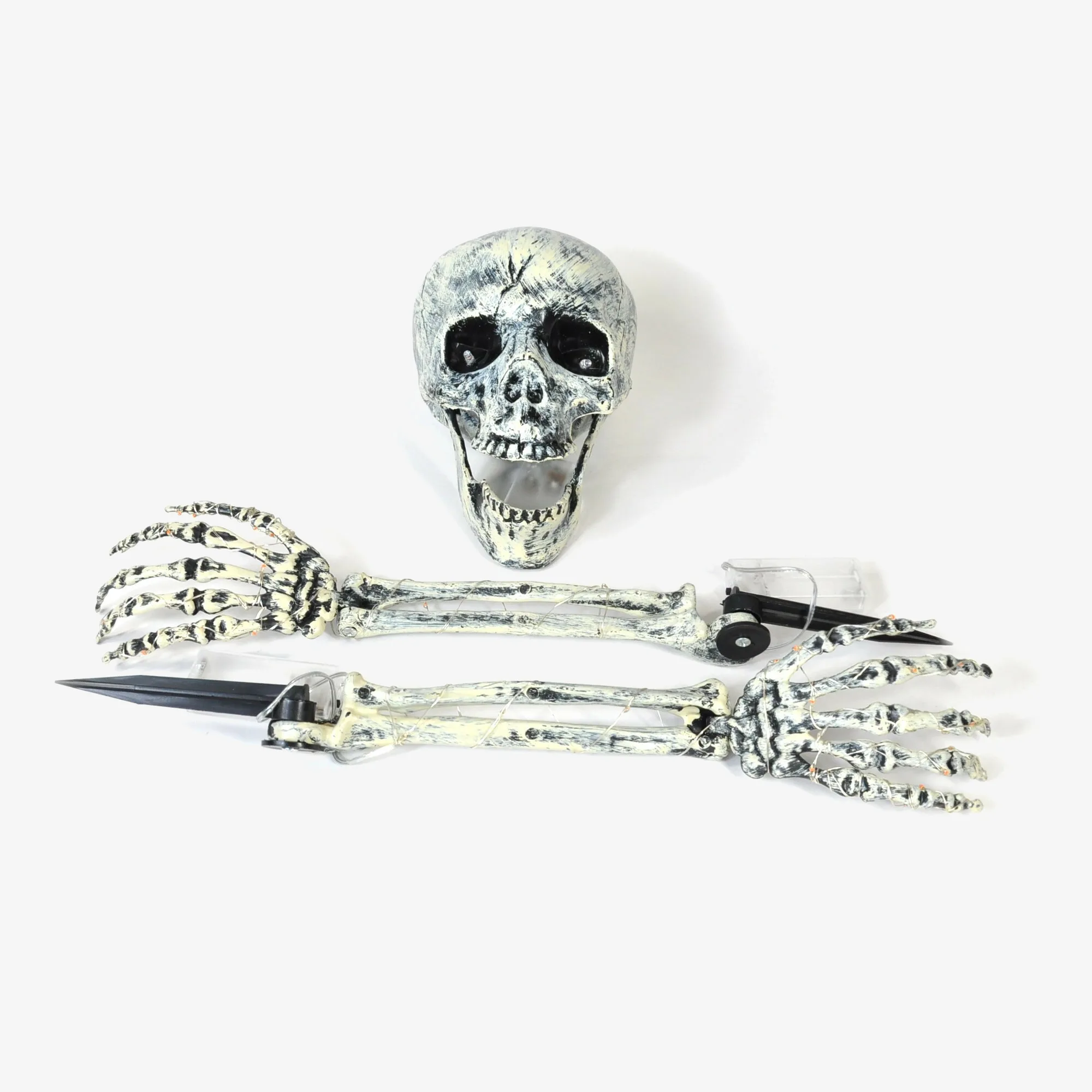 Spooktacular Skeletal Set
