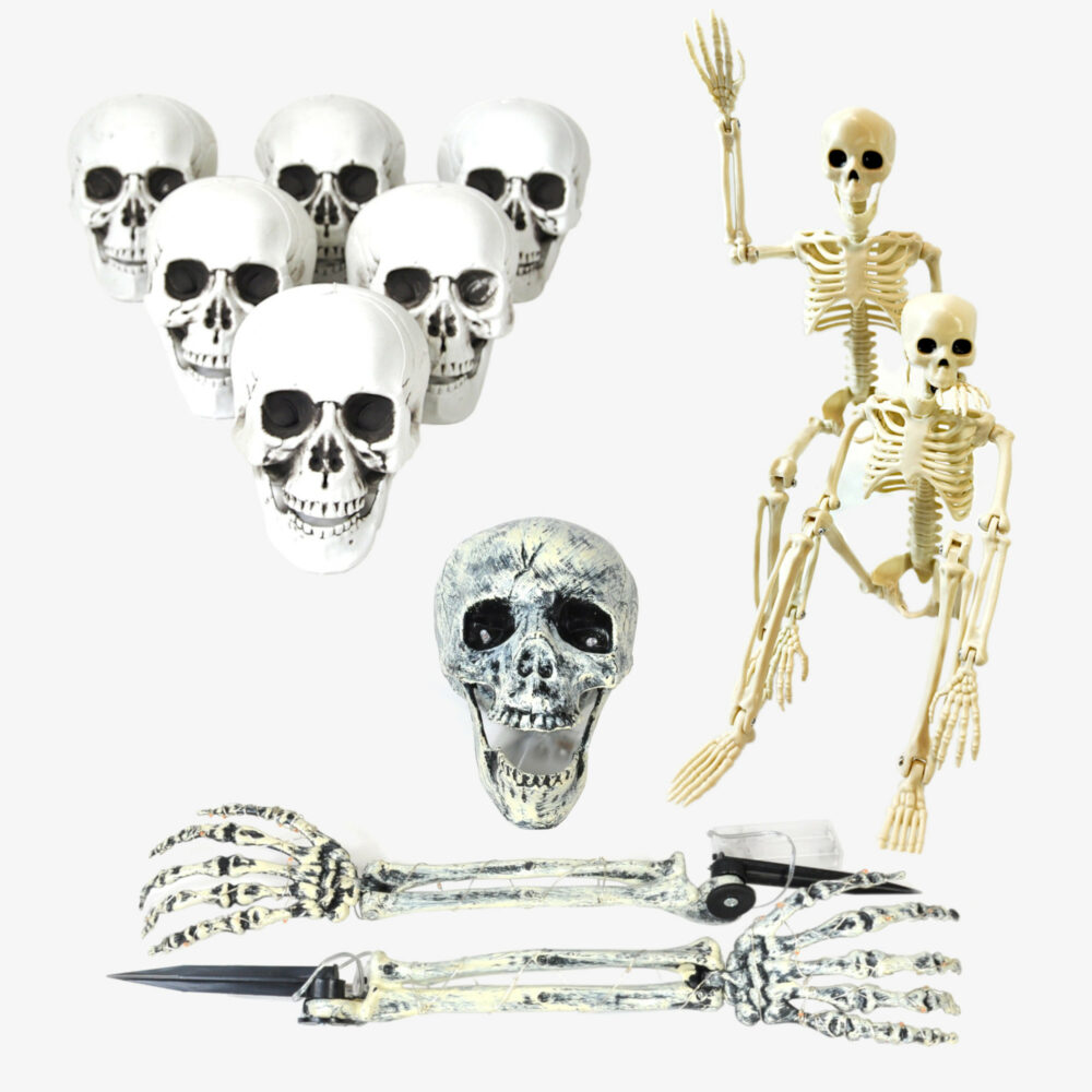 Spooktacular Skeletal Set