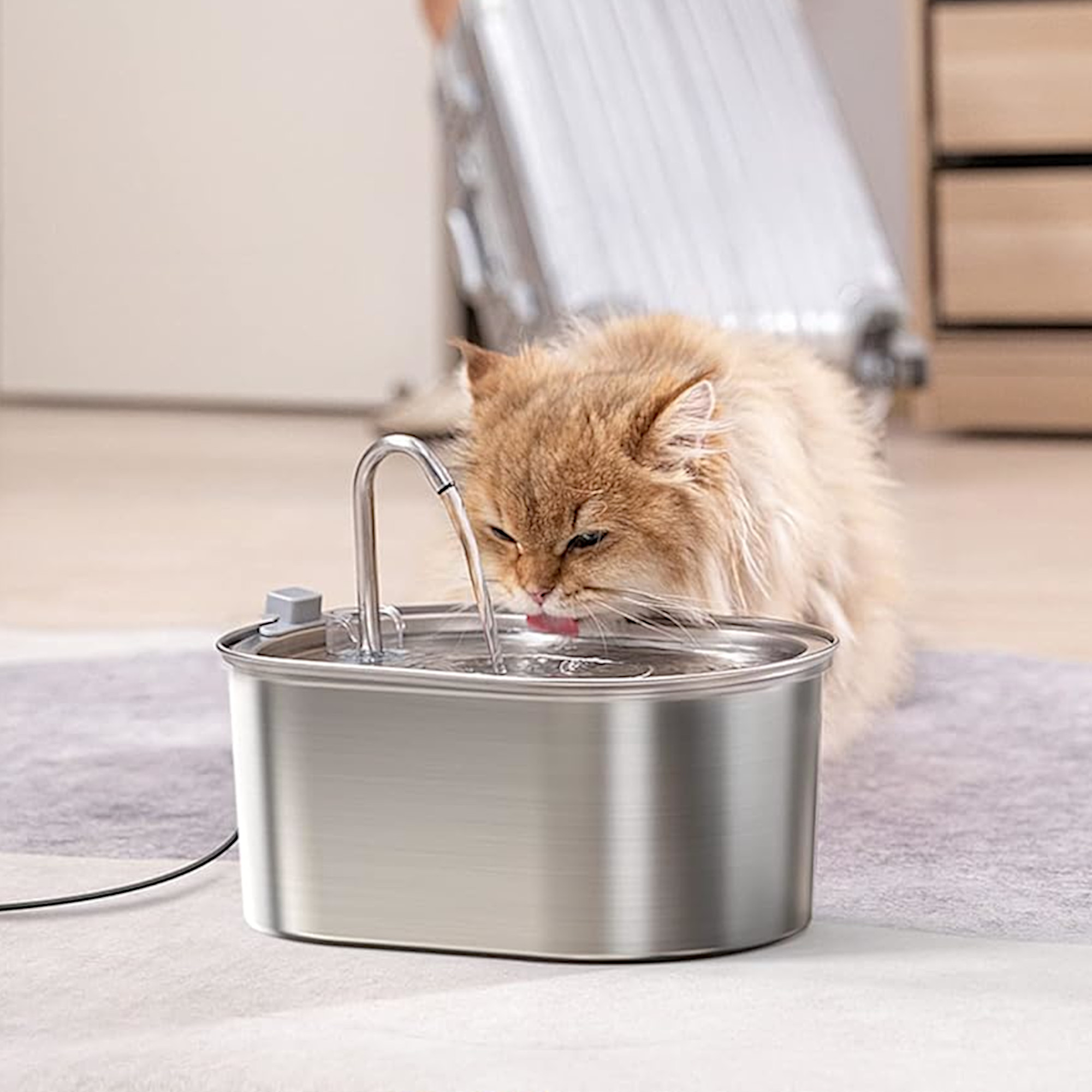 Pet Water Fountain