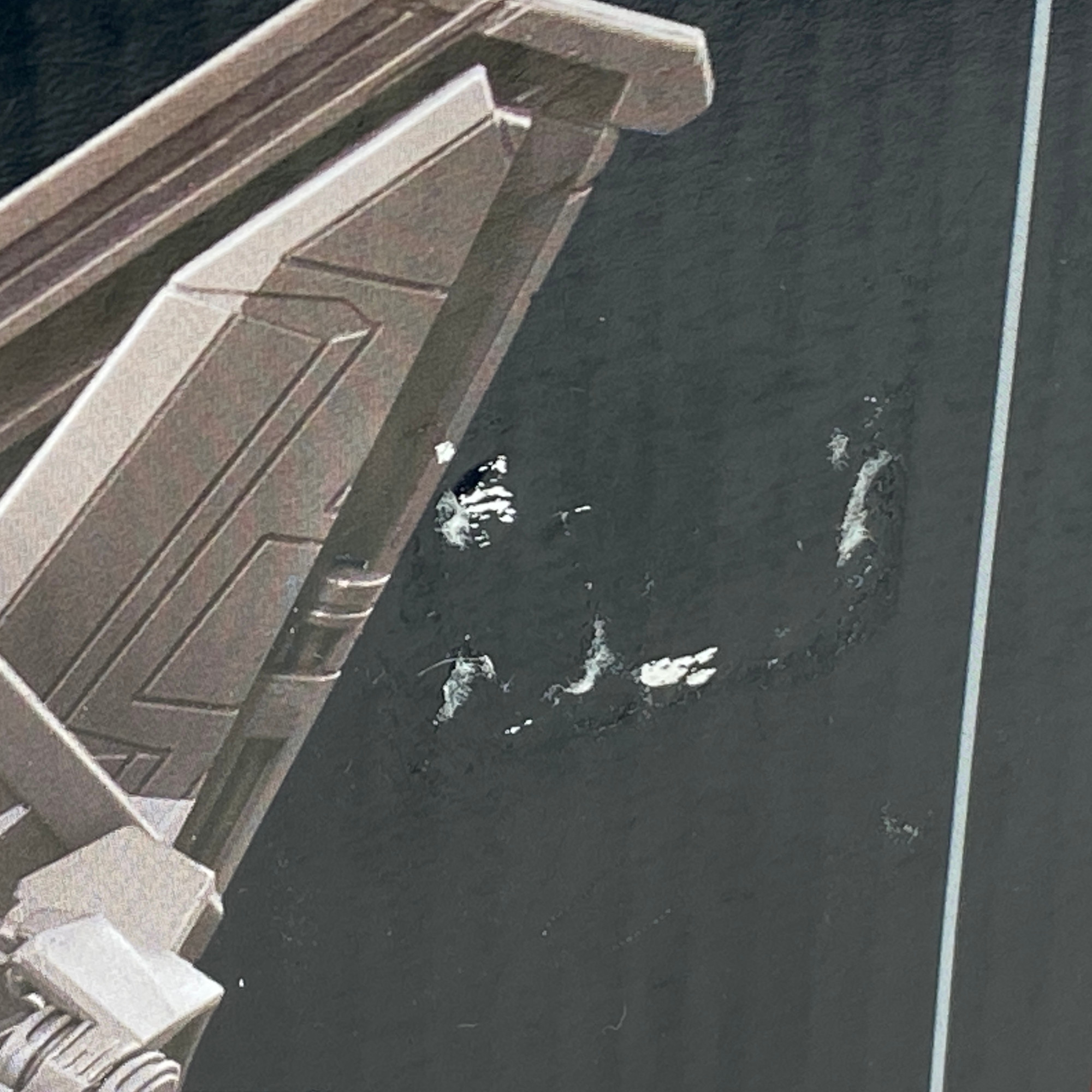 Starscream Action Figure