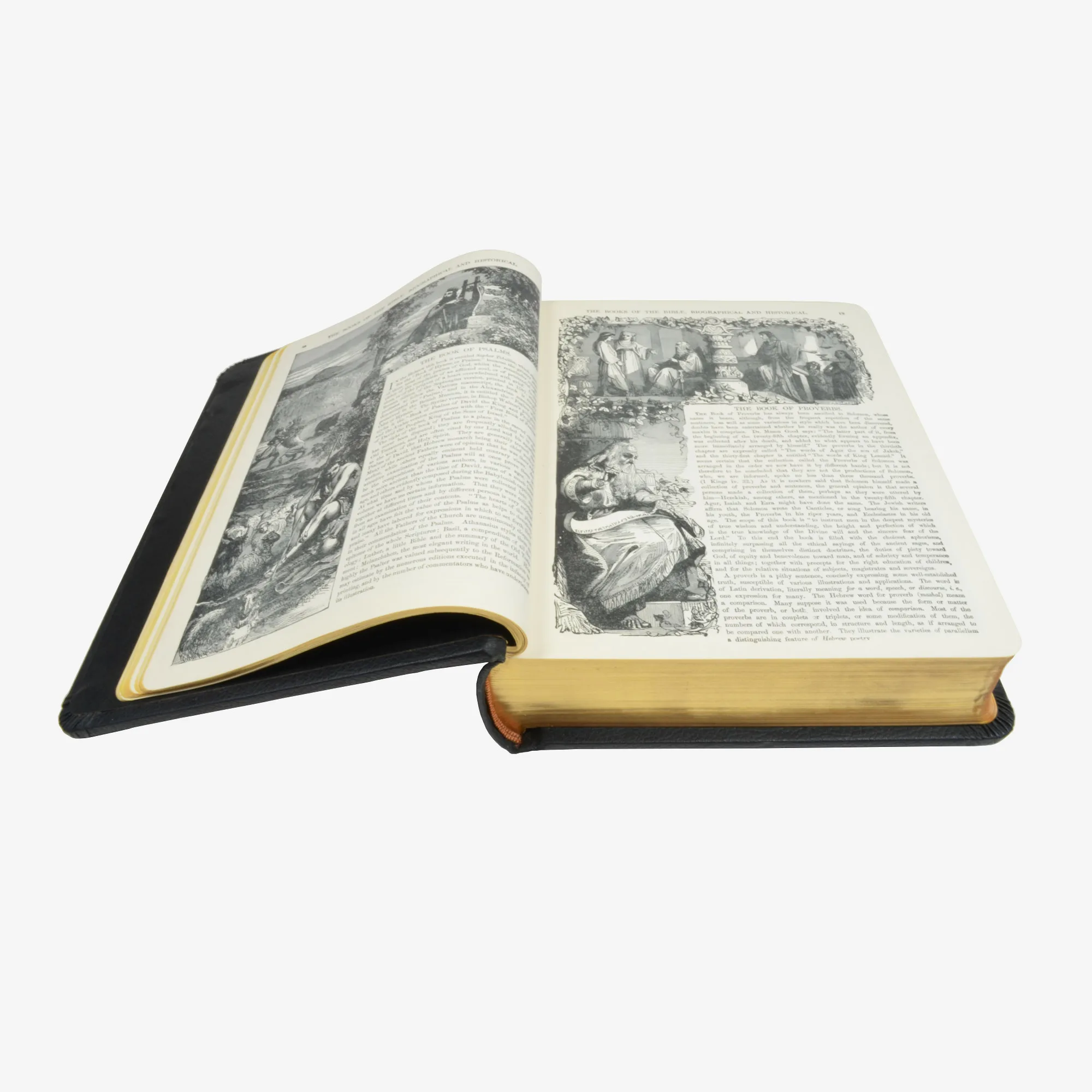 Holy Bible: Old and New Testaments