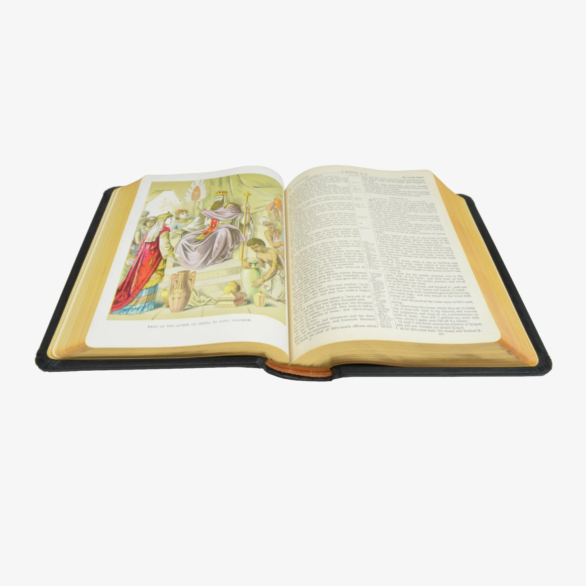 Holy Bible: Old and New Testaments