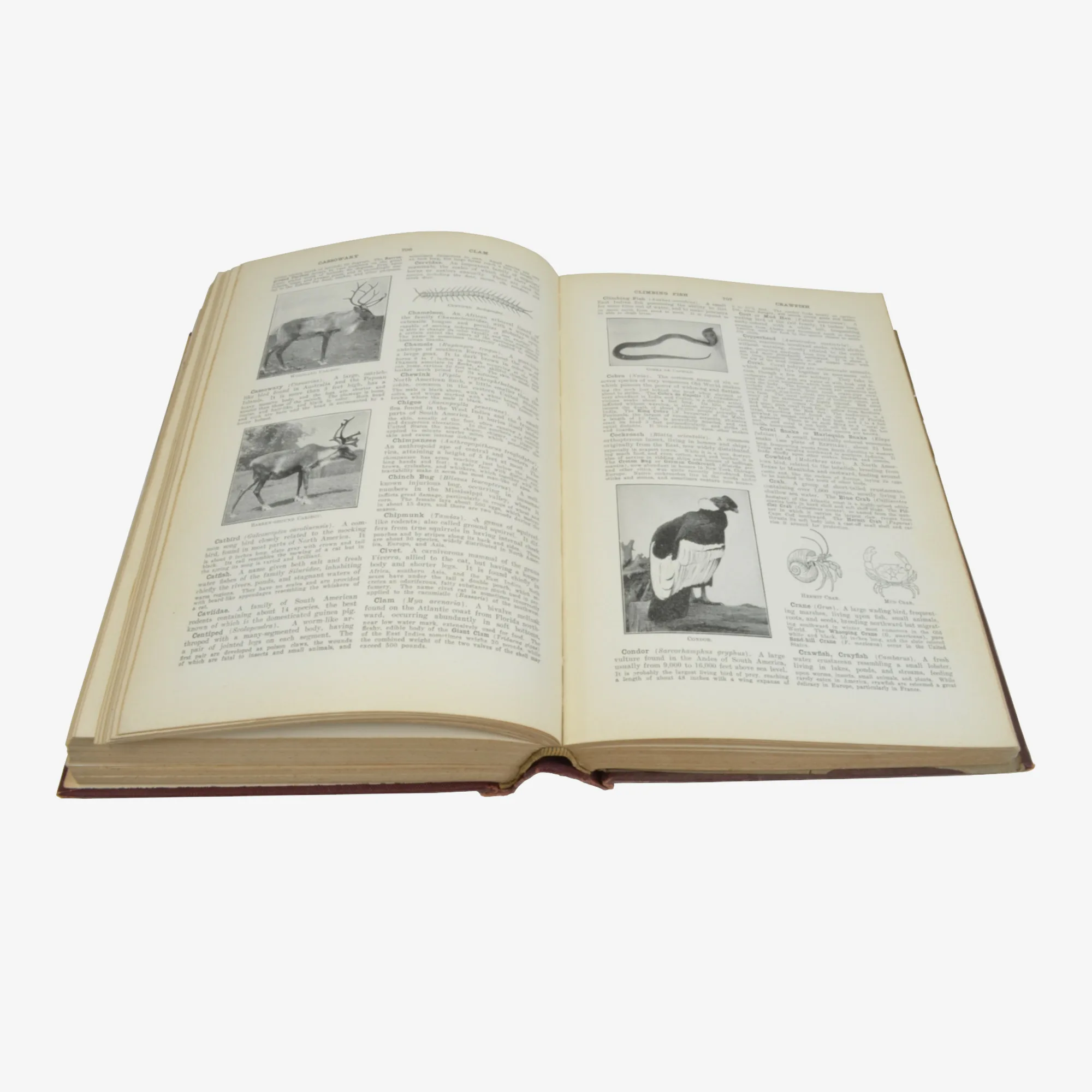 The New Century Book of Facts