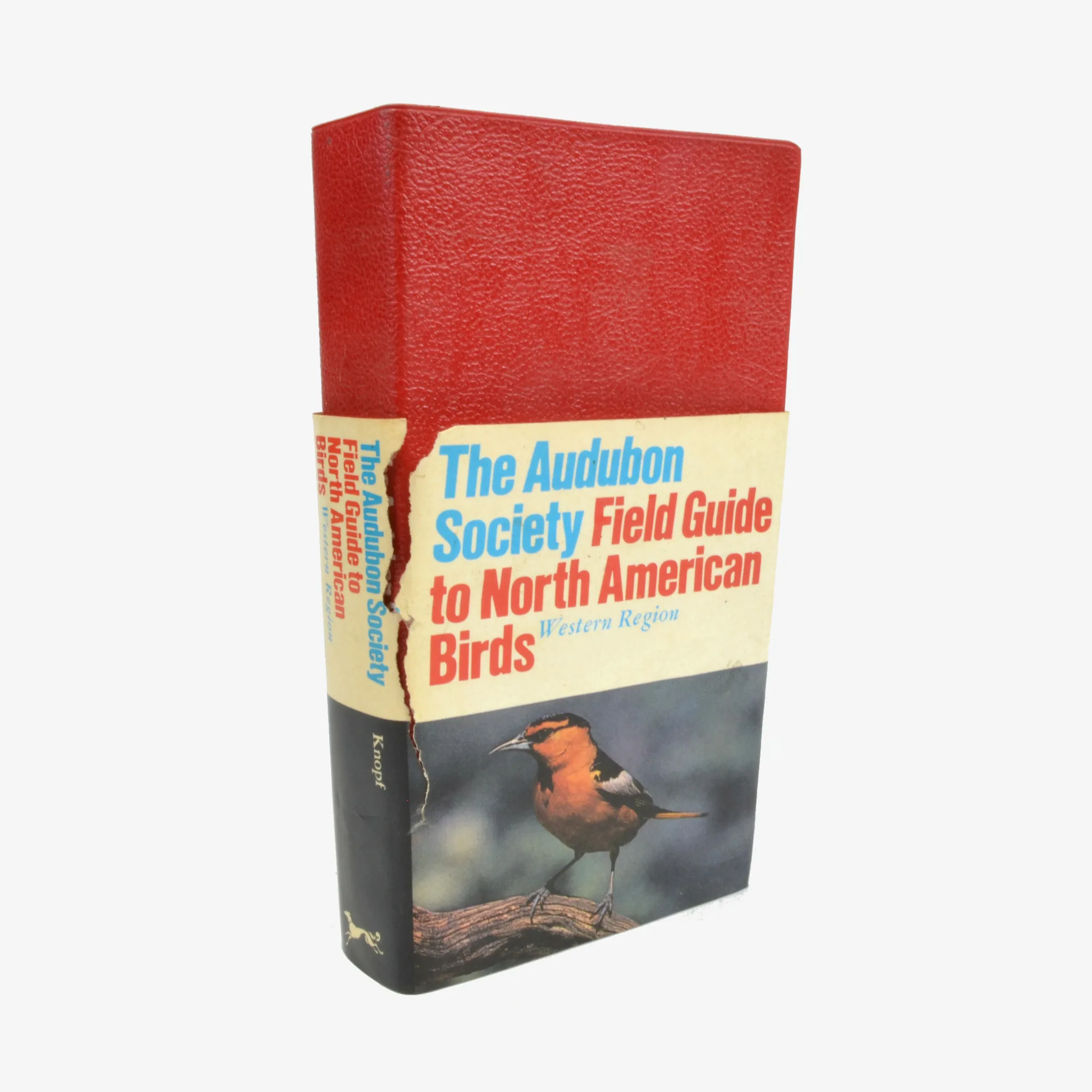 The Audubon Society Field Guide to North American Birds