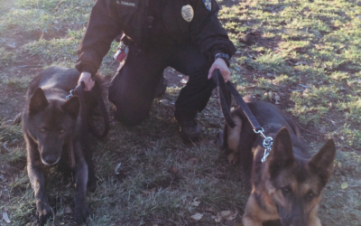 “Good Boy!”: Life of a K9 Officer at Father Joe’s